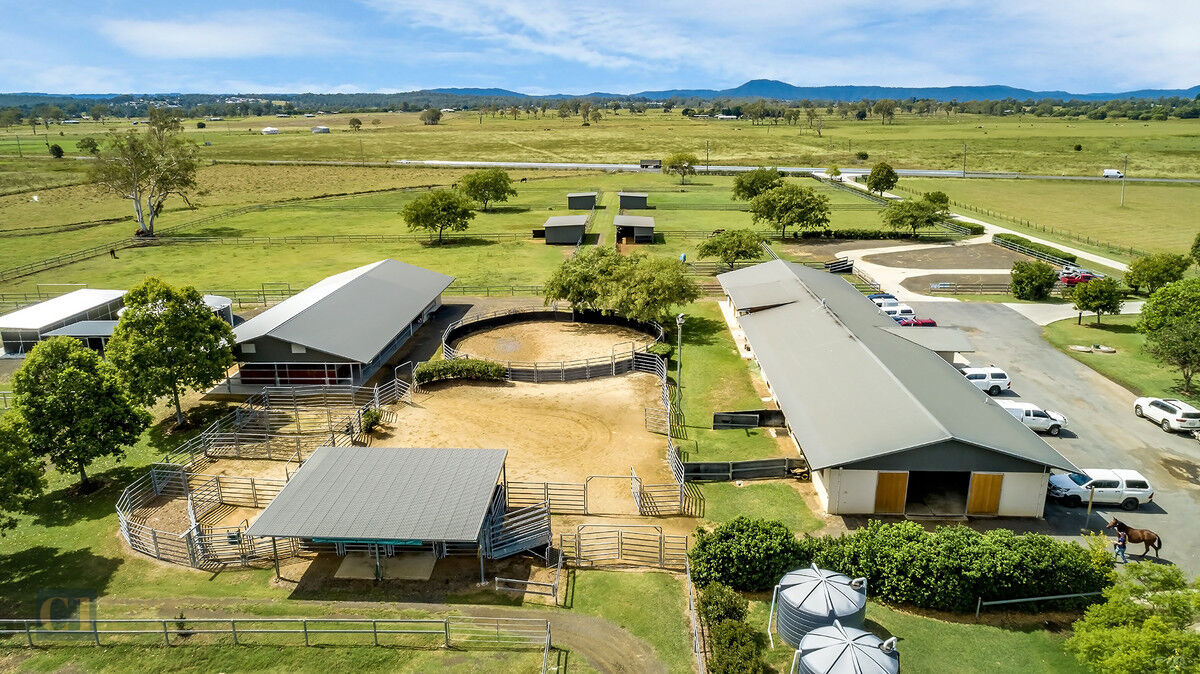 Veterinary equine surgical and breeding facility