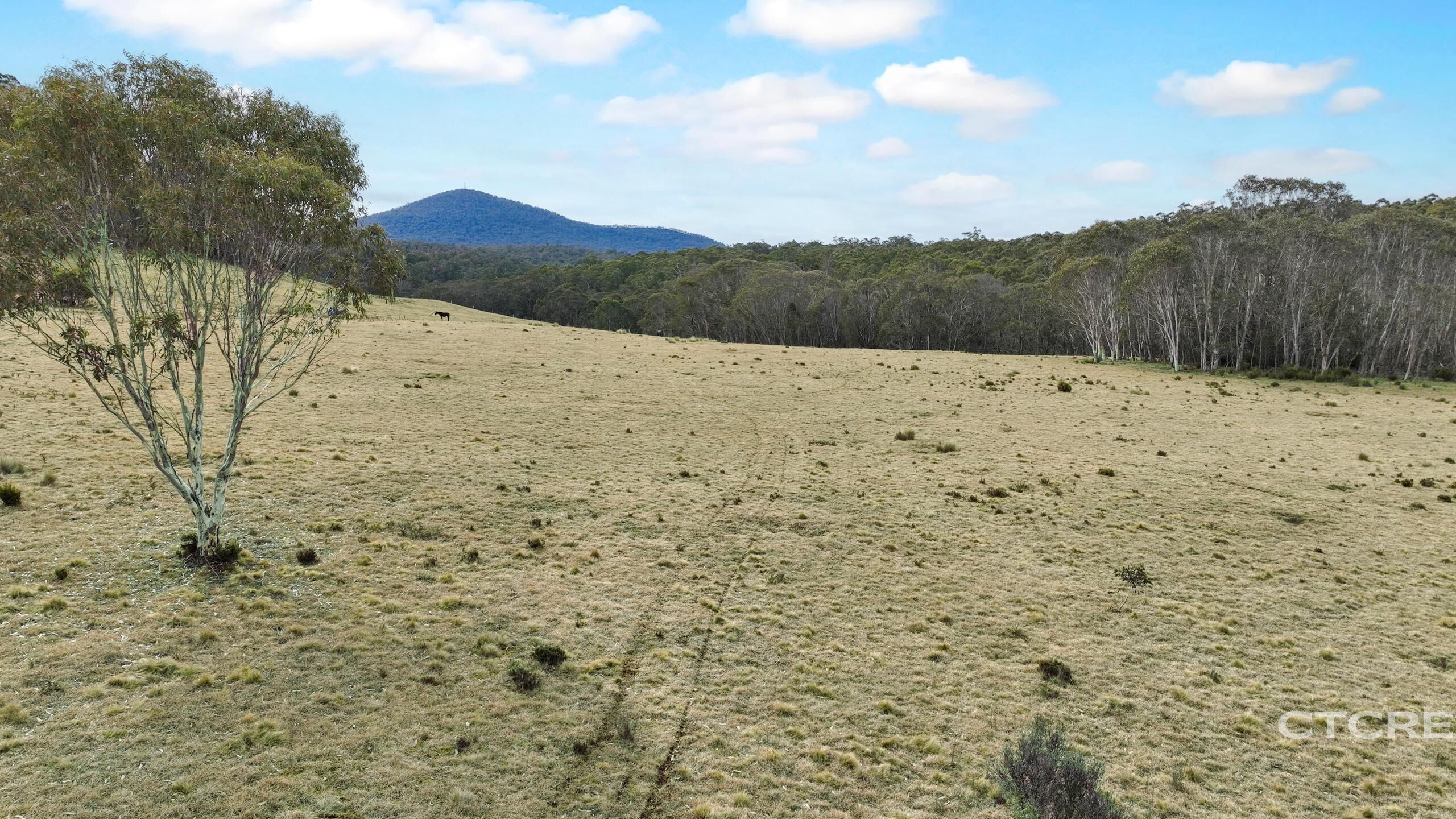 1695 Bendoc-Orbost Road, Bendoc For Sale by Farmbuy.com - image 12