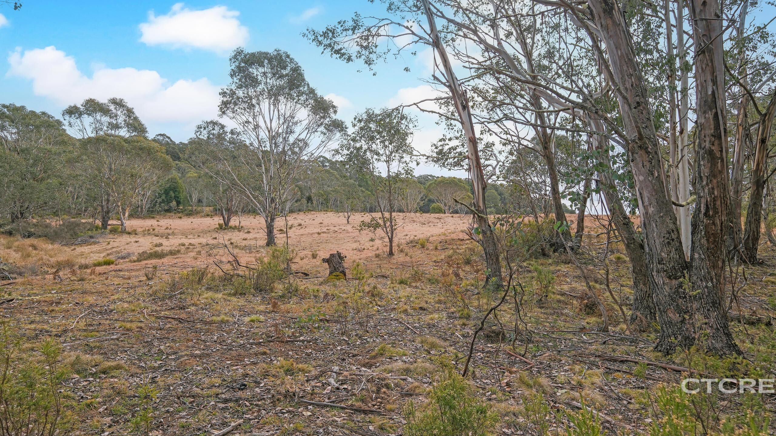 1695 Bendoc-Orbost Road, Bendoc For Sale by Farmbuy.com - image 17