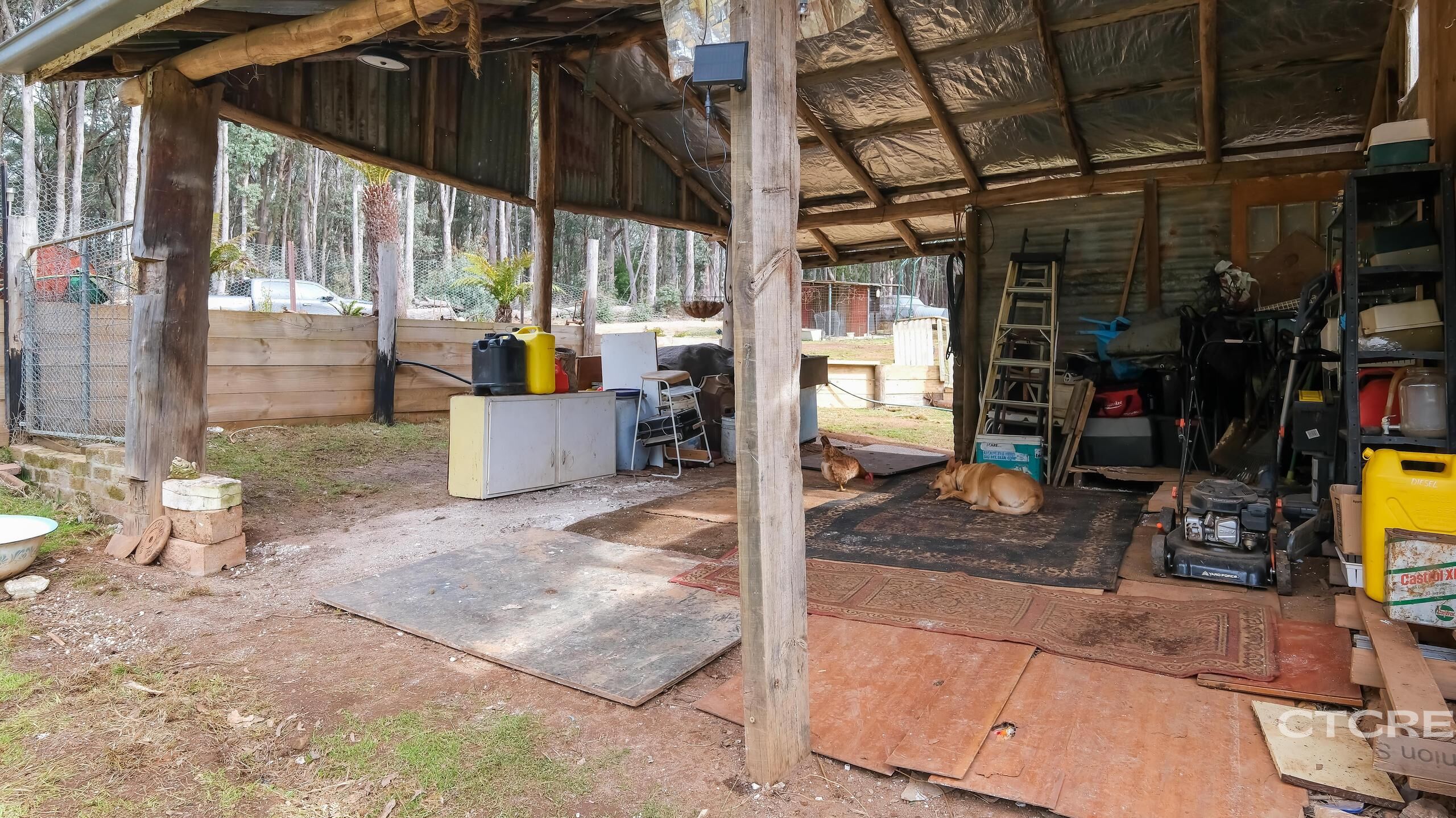 1695 Bendoc-Orbost Road, Bendoc For Sale by Farmbuy.com - image 6