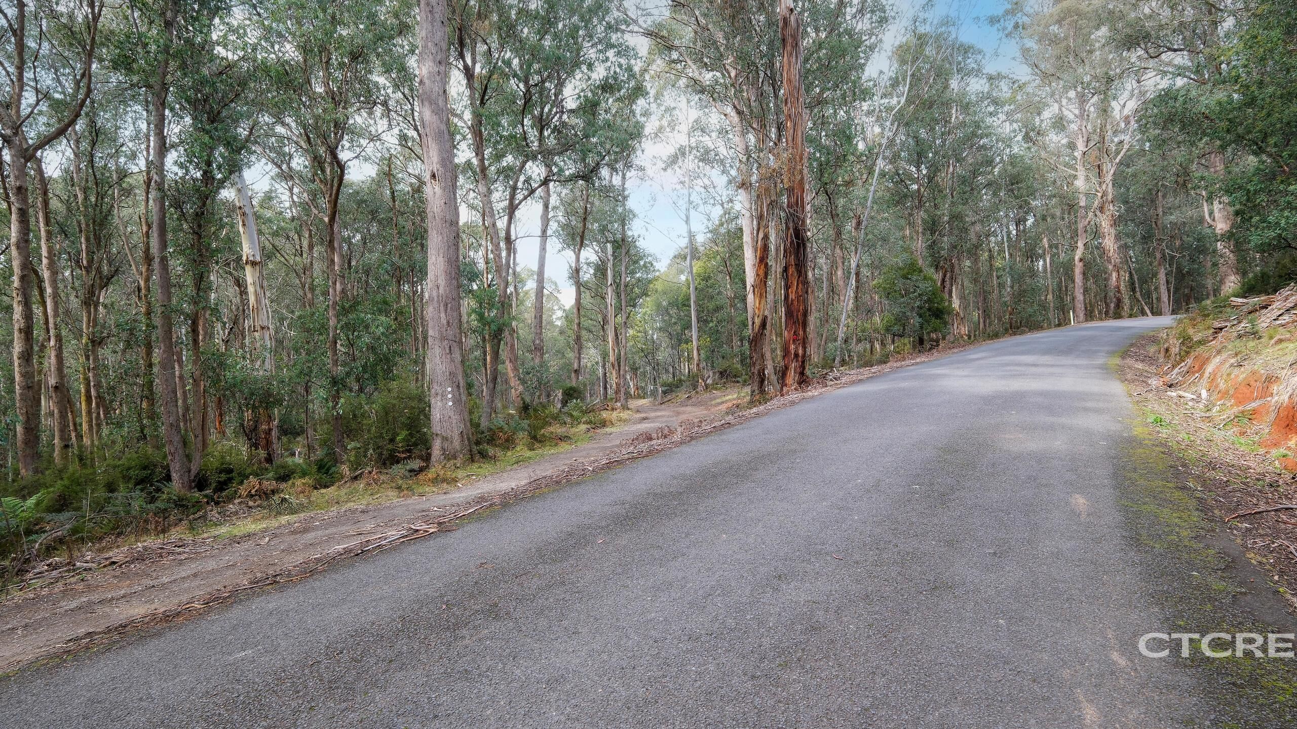 1695 Bendoc-Orbost Road, Bendoc For Sale by Farmbuy.com - image 9