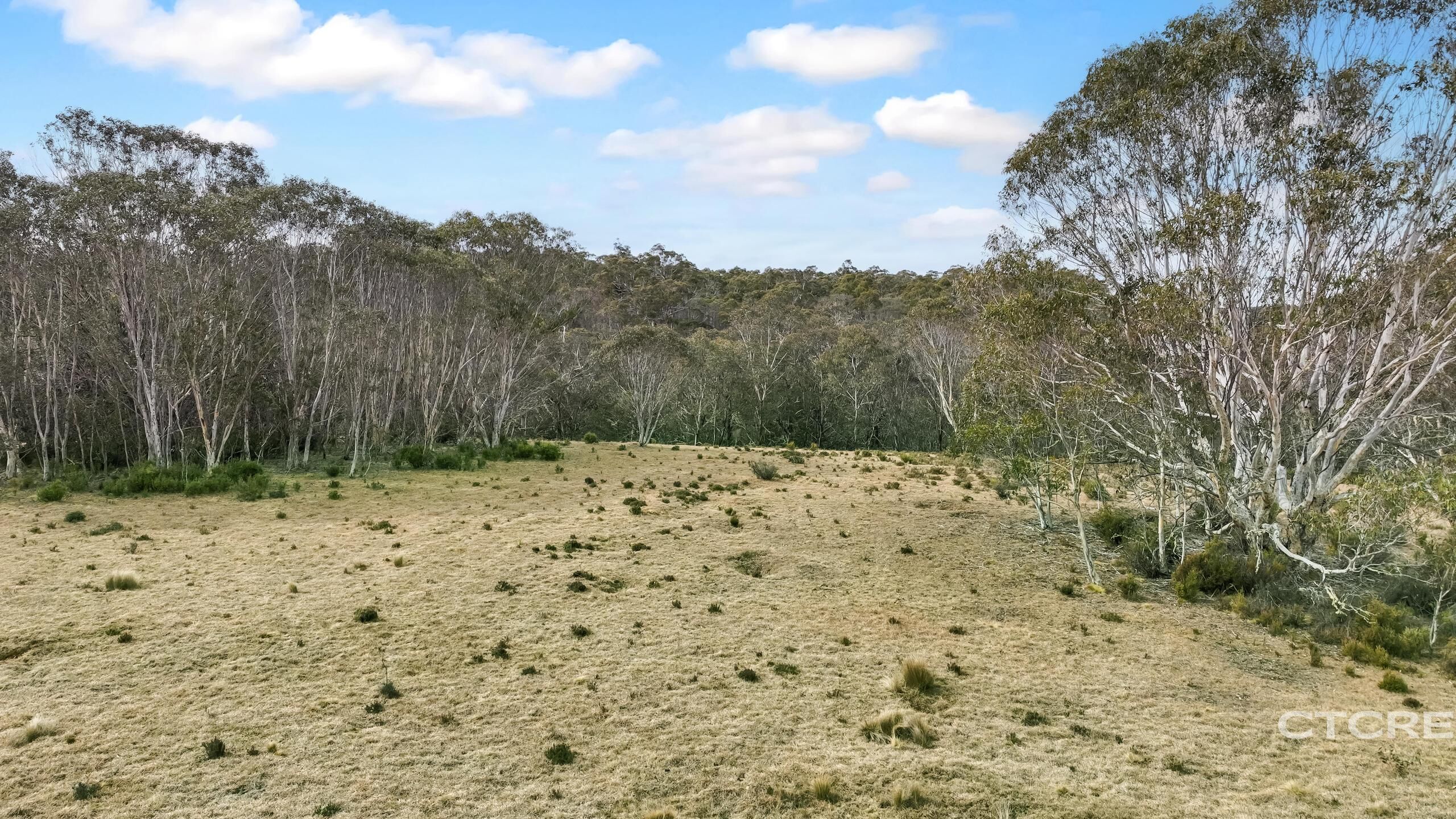 1695 Bendoc-Orbost Road, Bendoc For Sale by Farmbuy.com - image 13