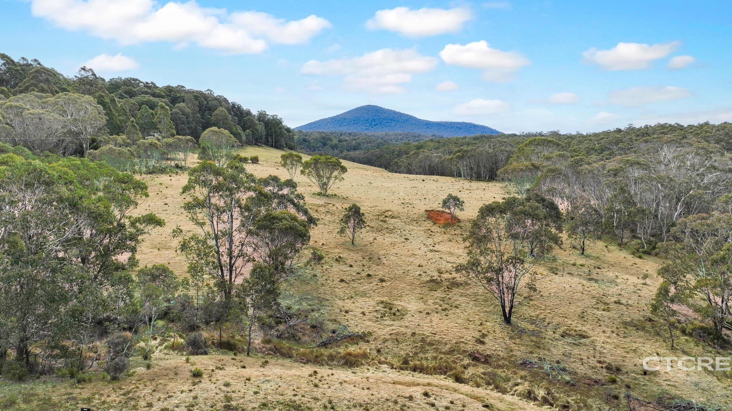 1695 Bendoc-Orbost Road, Bendoc For Sale by Farmbuy.com - image 15