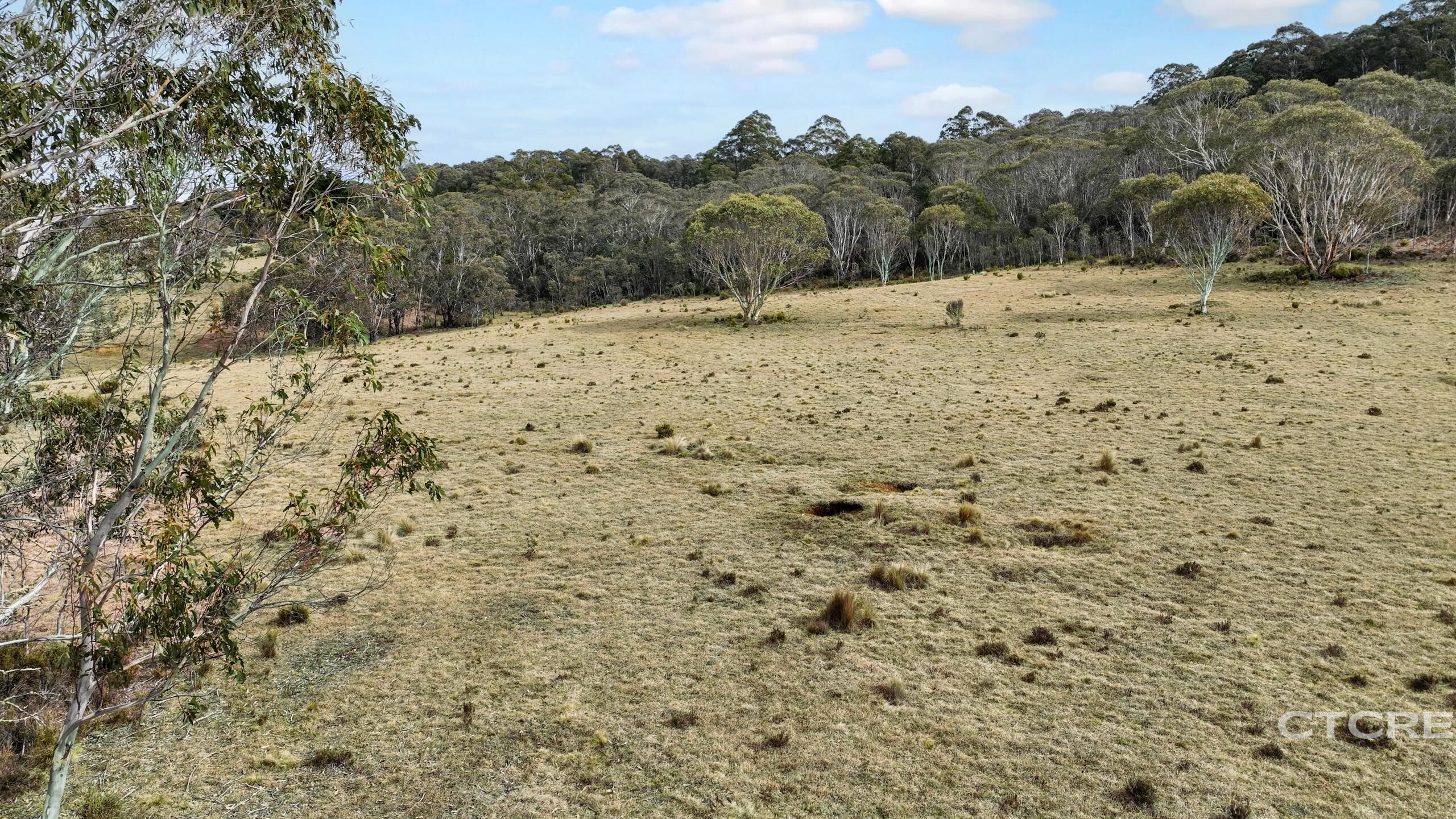 1695 Bendoc-Orbost Road, Bendoc For Sale by Farmbuy.com - image 14