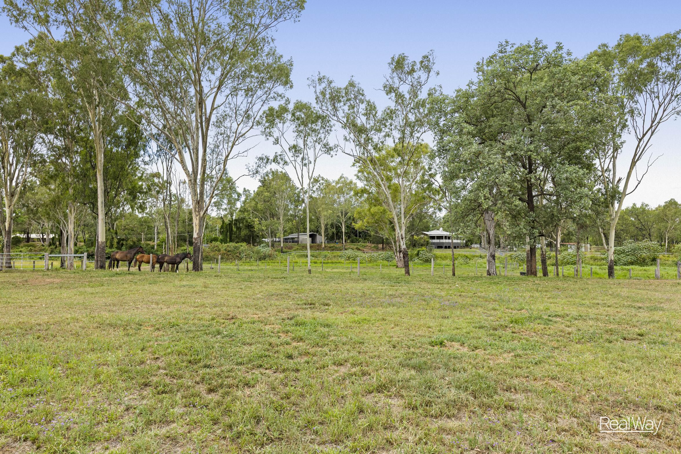 Lot 12 Paynter Road, Helidon Spa QLD 4344, Helidon Spa - Thumbnail 2