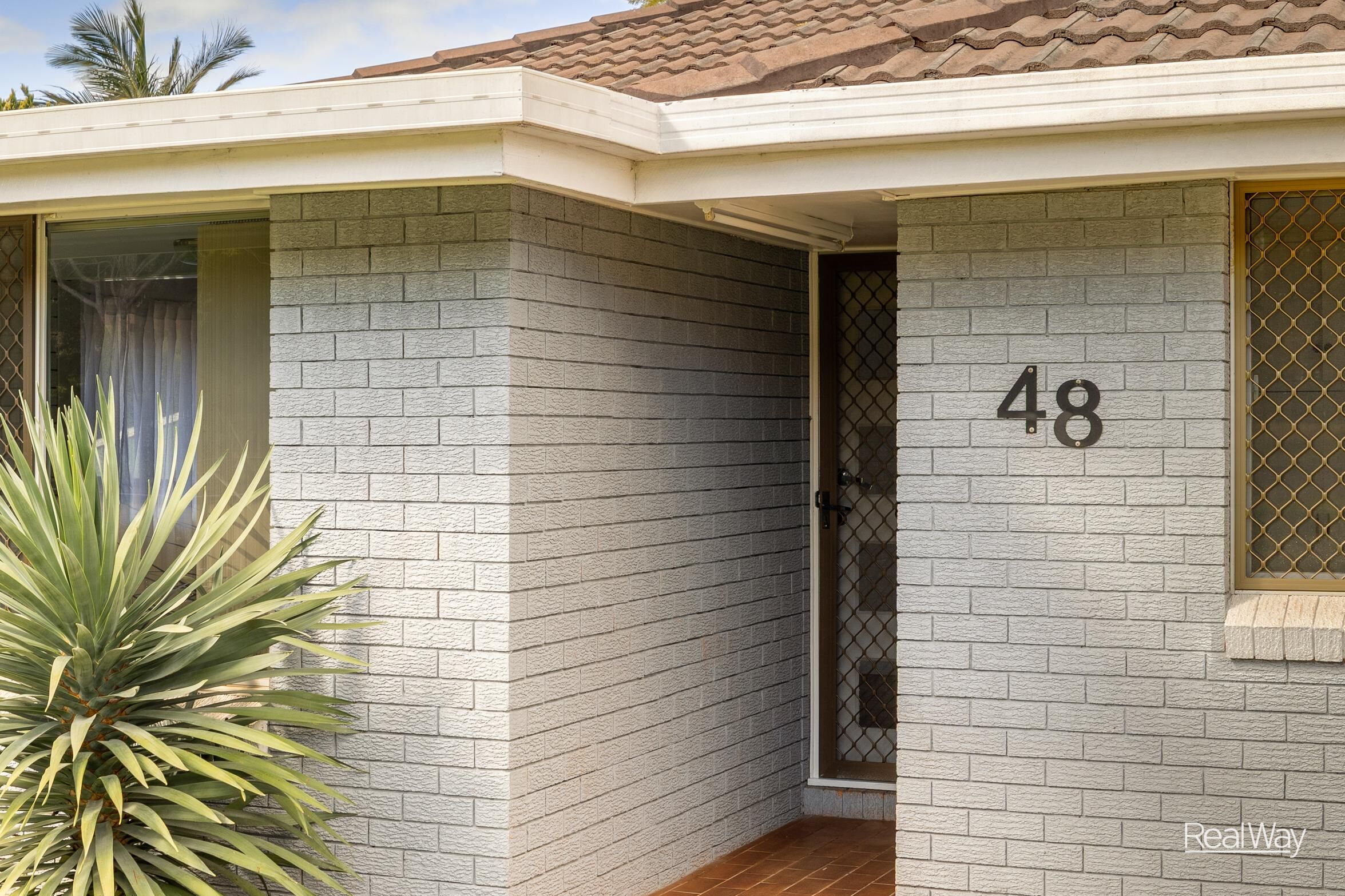 48 Noll Street, Kearneys Spring - Image 1