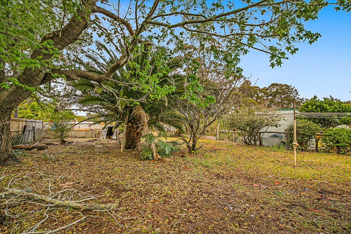 21 Garde Street, Centenary Heights QLD 4350, Centenary Heights - Thumbnail 3