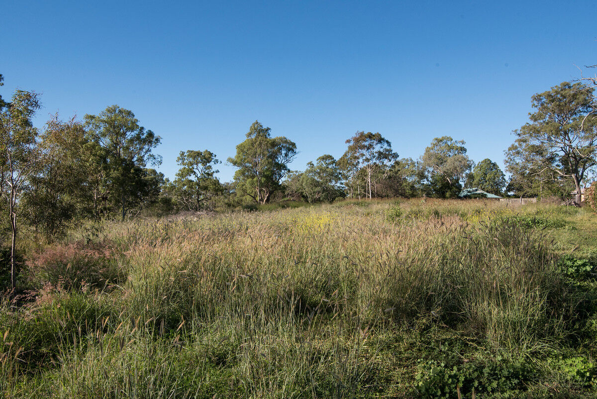 8 John Court, Cotswold Hills QLD 4350, Cotswold Hills - Thumbnail 5