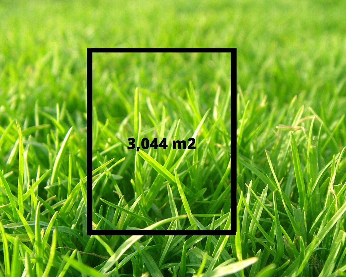 6 Pamela Court, Withcott QLD 4352, Withcott - Thumbnail 2