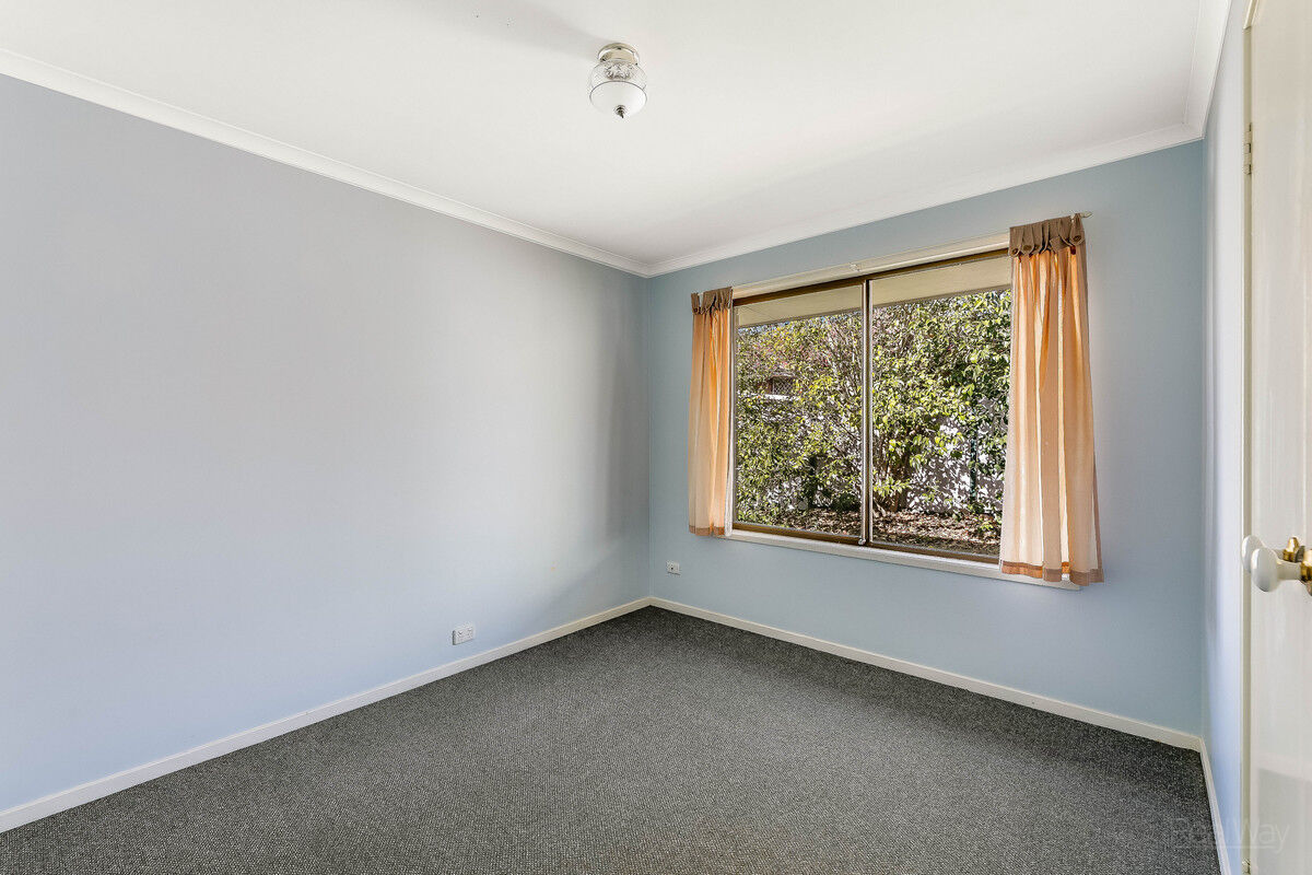 7 Chardonnay Street, Wilsonton Heights QLD 4350, Wilsonton Heights - Thumbnail 5