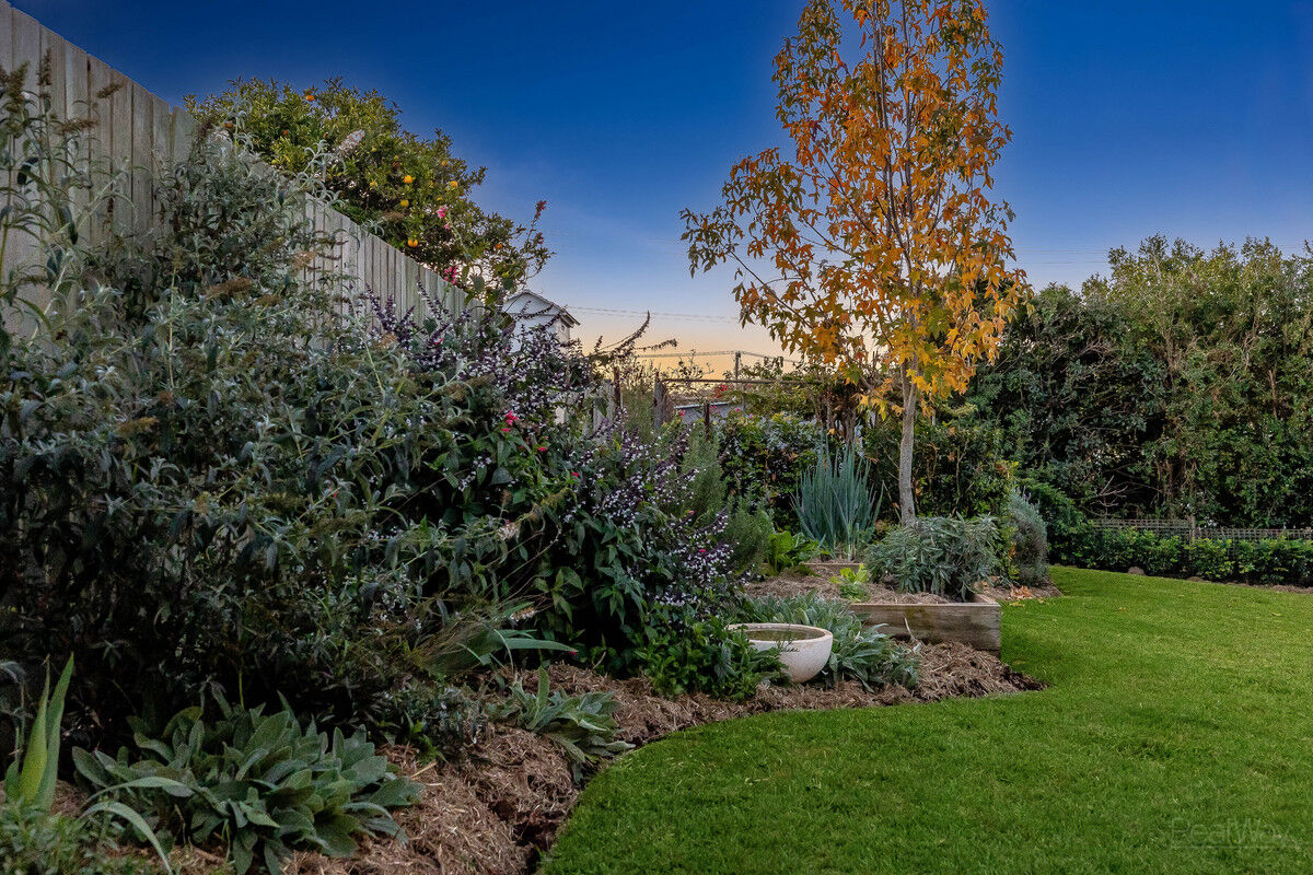 13 Seaton Street, South Toowoomba QLD 4350, South Toowoomba - Thumbnail 4
