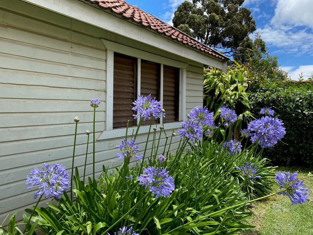 4 Charles Street, NEWTOWN QLD 4350, Newtown - Thumbnail 2