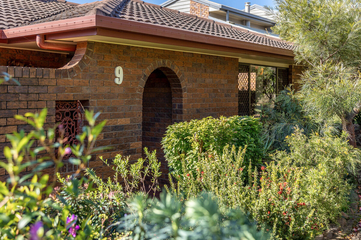 9 Oak Court, Rangeville QLD 4350, Rangeville - Thumbnail 3