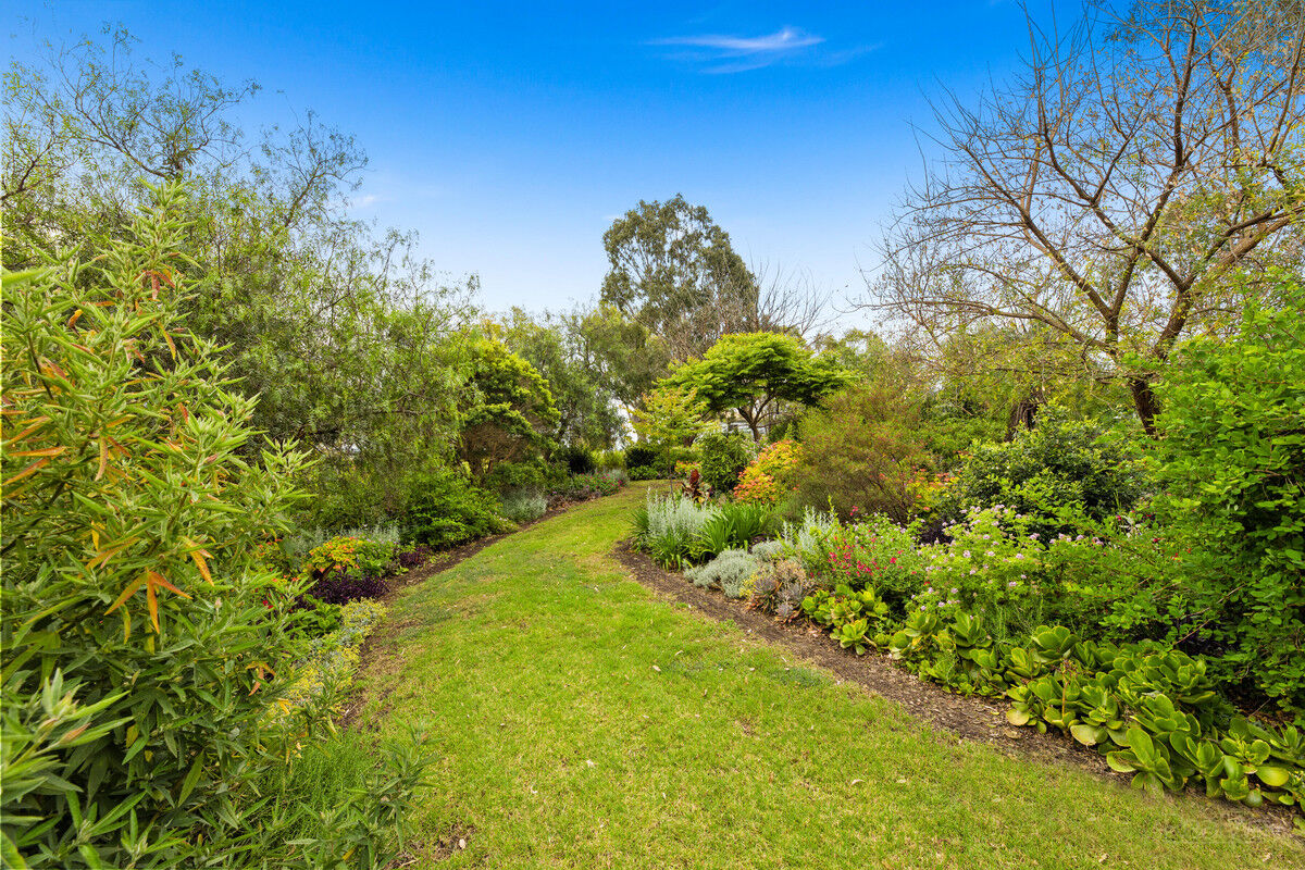 14 Jannusch Road, Gowrie Mountain QLD 4350, Gowrie Mountain - Thumbnail 3