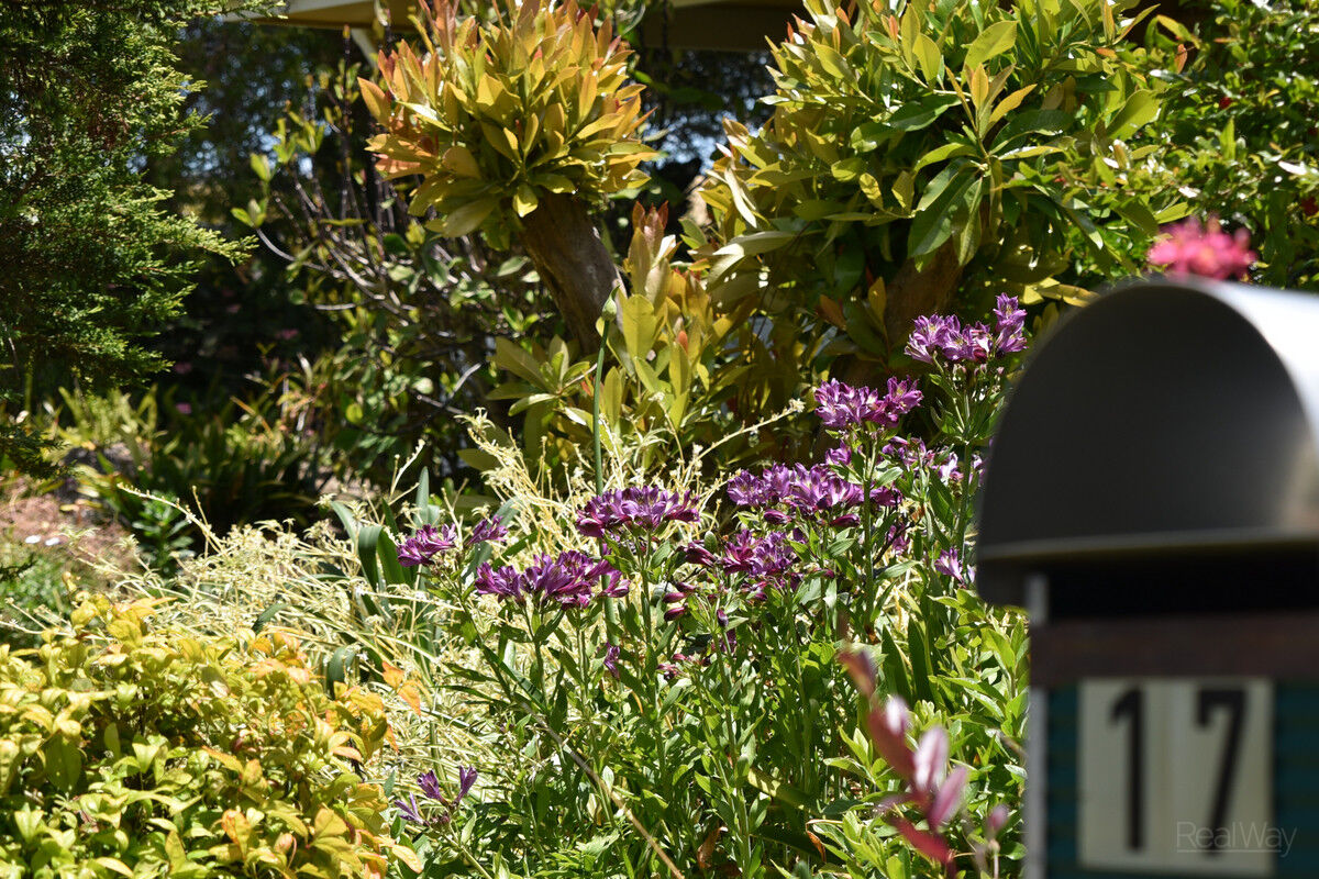 17 Ansett Court, Wilsonton QLD 4350, Wilsonton - Thumbnail 2