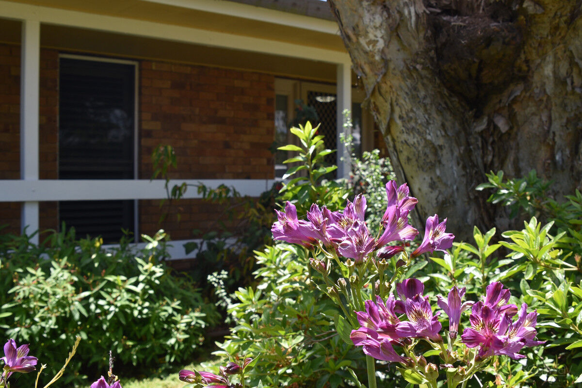 17 Ansett Court, Wilsonton QLD 4350, Wilsonton - Thumbnail 4