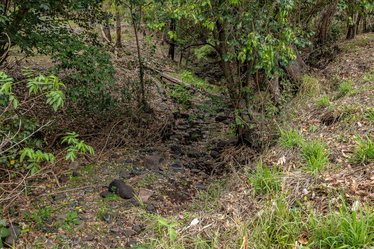 2229 Murphys Creek Road, Ballard QLD 4352, Ballard - Thumbnail 2