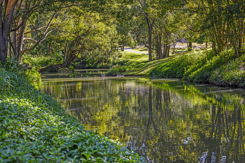 718 Currumbin Creek Road, Currumbin Valley Qld 4223