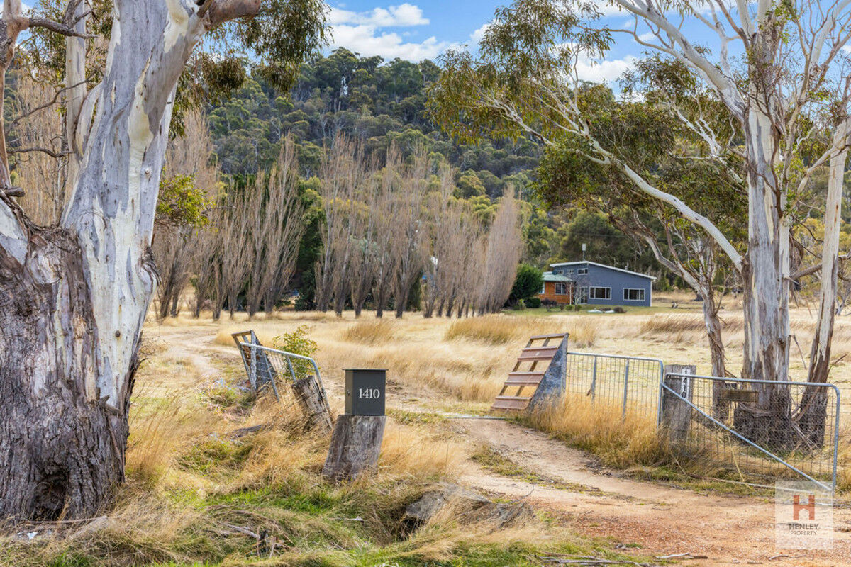 Indulge in the Beauty of the Natural Surroundings “Blue Hills