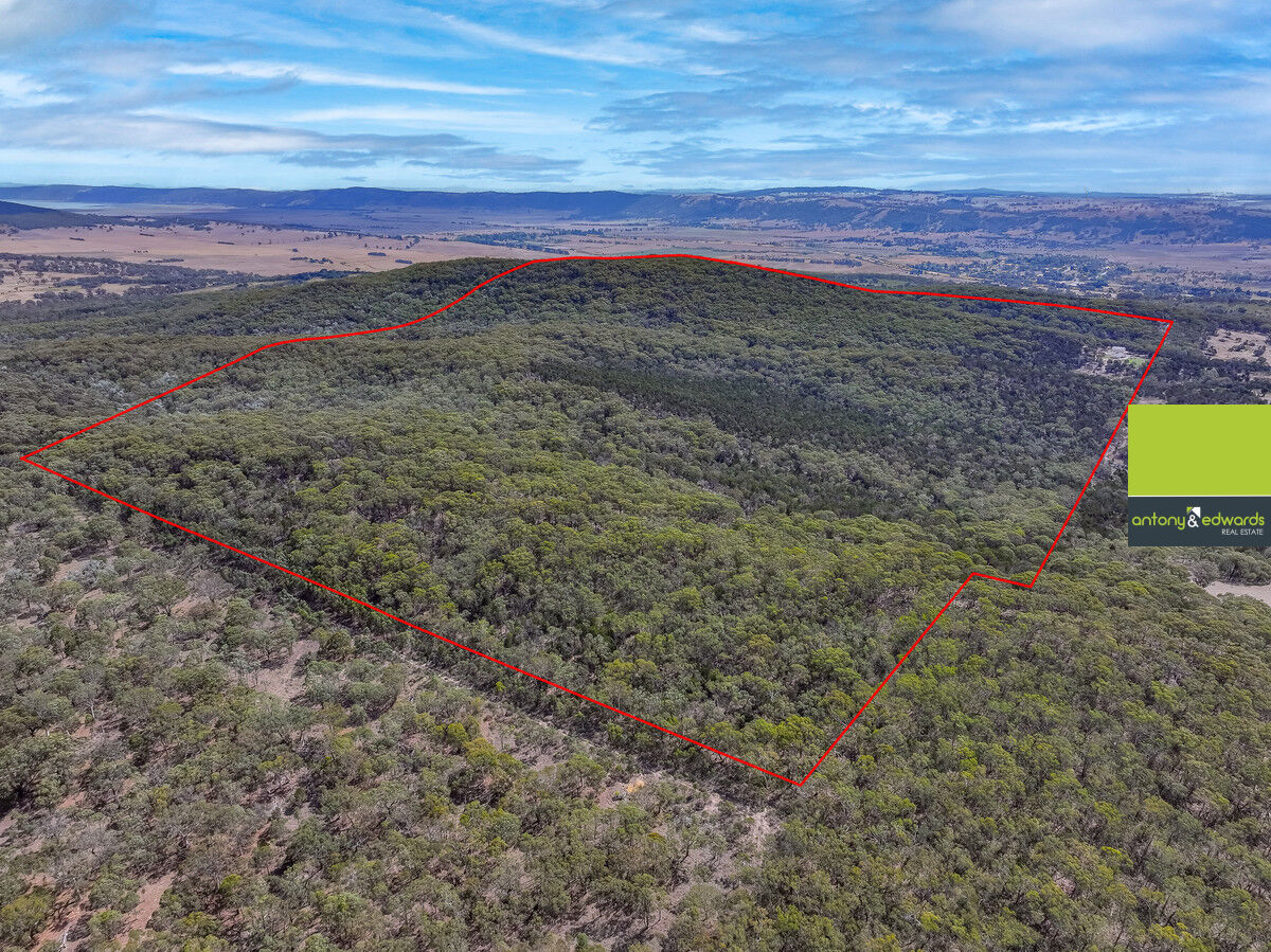 111 Mays Lane, Collector NSW 2581, Collector - Thumbnail 5