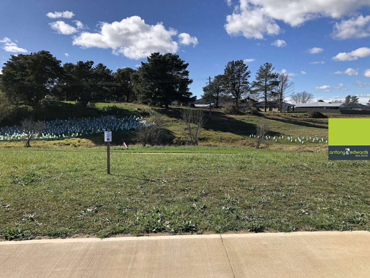 Lot 301 / 33 Madeleine Drive, Goulburn NSW 2580, Toronto - Thumbnail 3