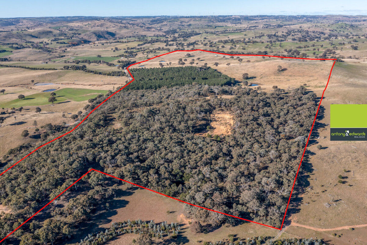 28 Sapphire Road, Biala NSW 2581, Biala - Thumbnail 5