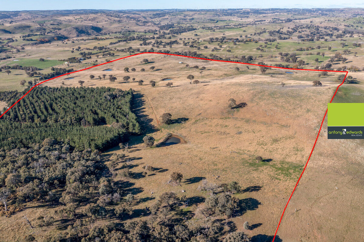 28 Sapphire Road, Biala NSW 2581, Biala - Thumbnail 6