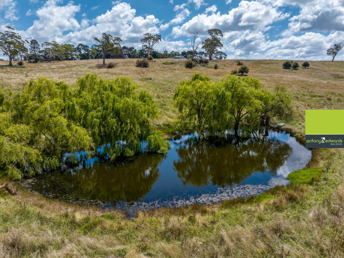 2142 Taralga Road, Goulburn NSW 2580, Goulburn - Thumbnail 3