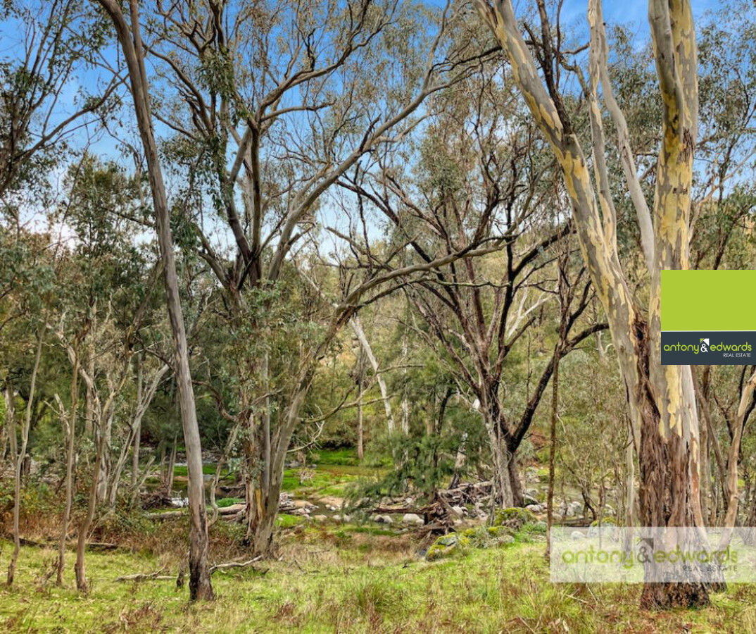 980 Grabine Road, Bigga NSW 2583, Bigga - Thumbnail 2