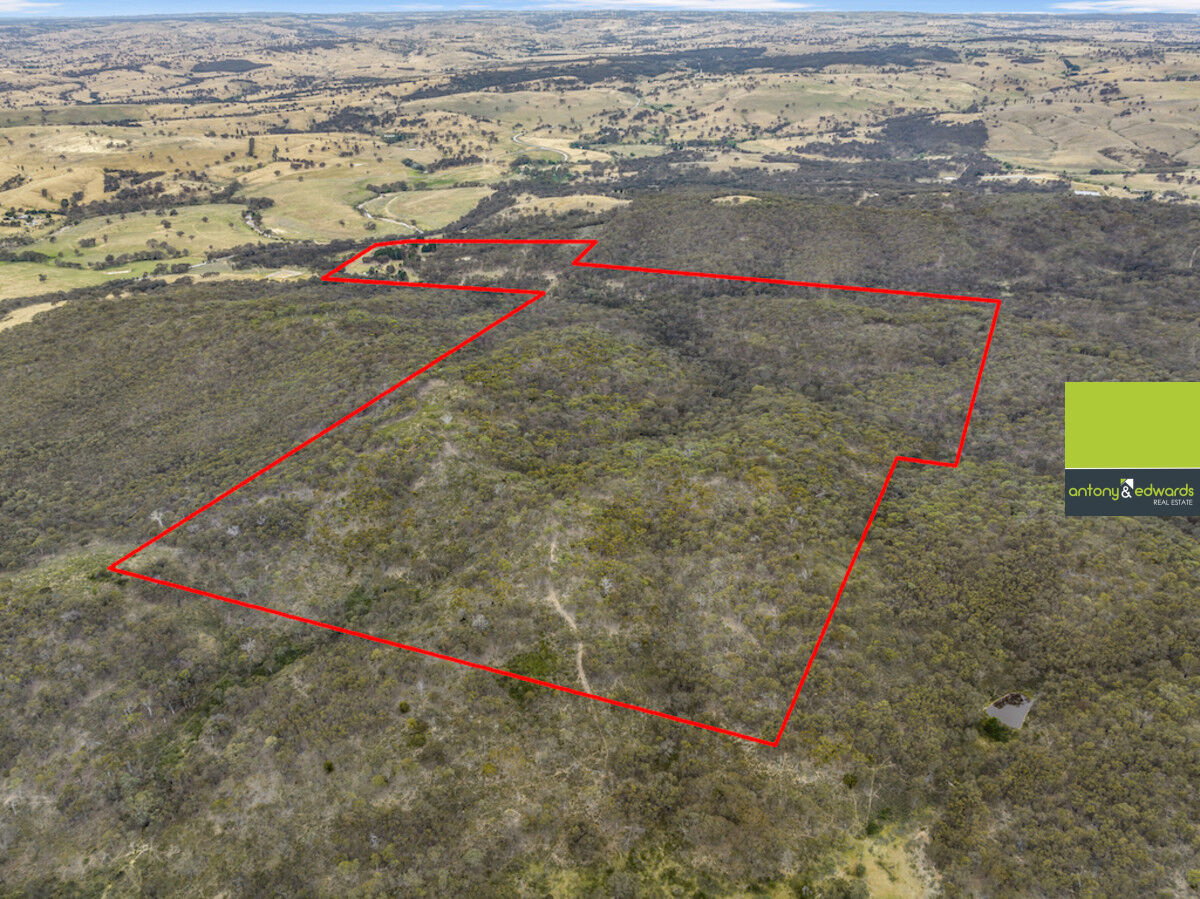 1439 Rugby Road, Bevendale NSW 2581, Bevendale - Thumbnail 7