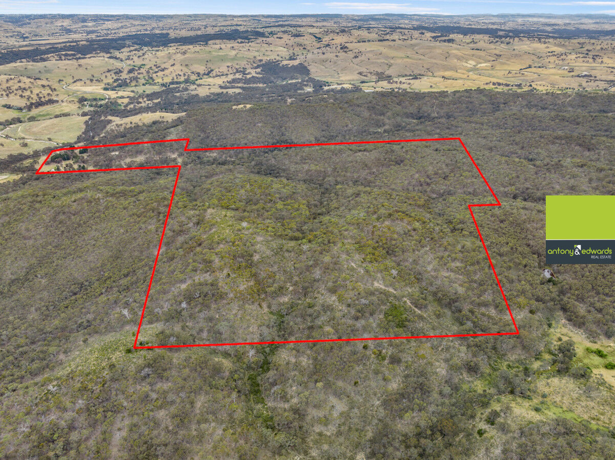 1439 Rugby Road, Bevendale NSW 2581, Bevendale - Thumbnail 3