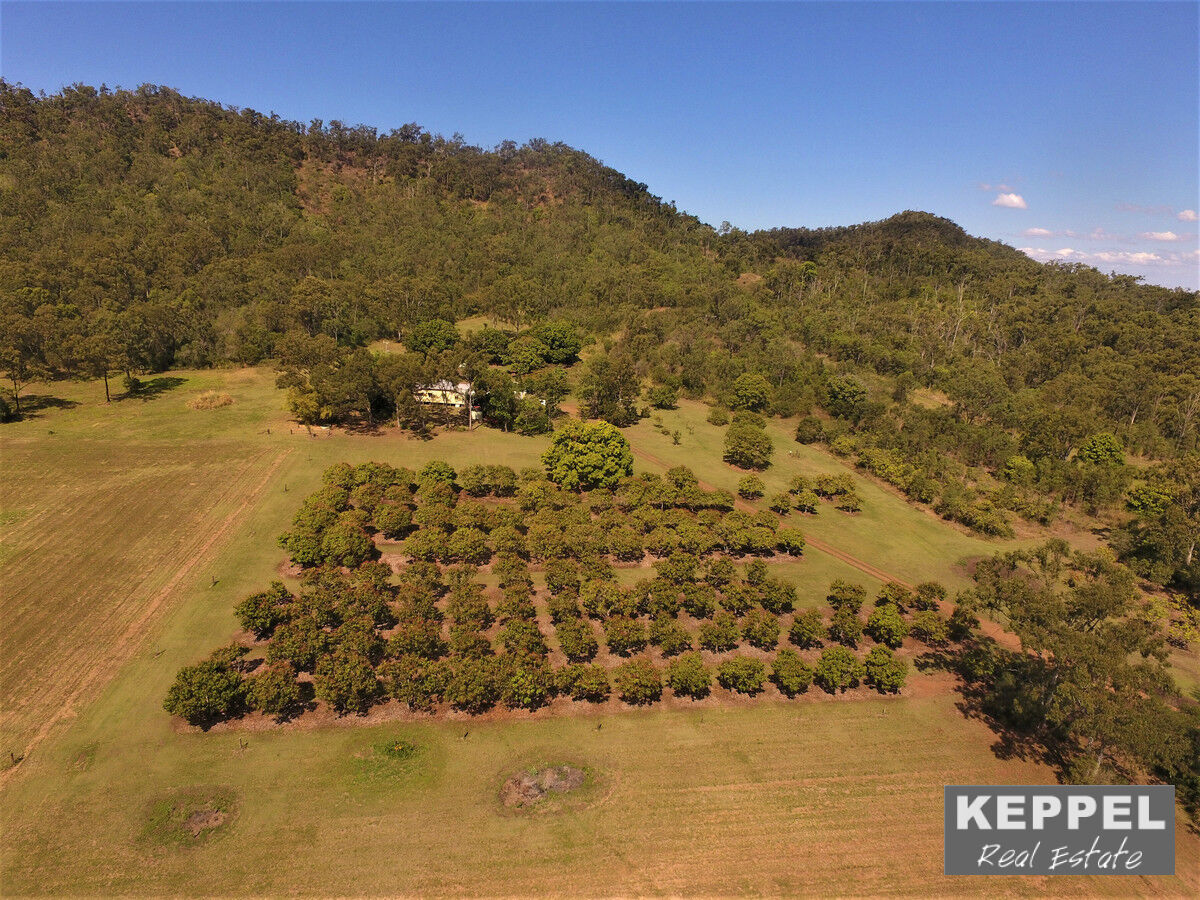 84-94 Marries Road, Coowonga QLD, Coowonga - Thumbnail 5