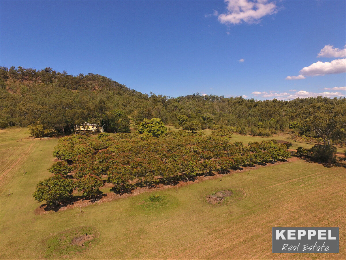 84-94 Marries Road, Coowonga QLD, Coowonga - Thumbnail 6