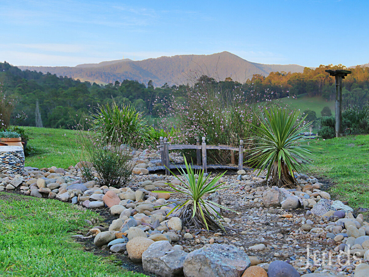 481 Sandy Creek Road, Mount Vincent, Mount Vincent - Thumbnail 6
