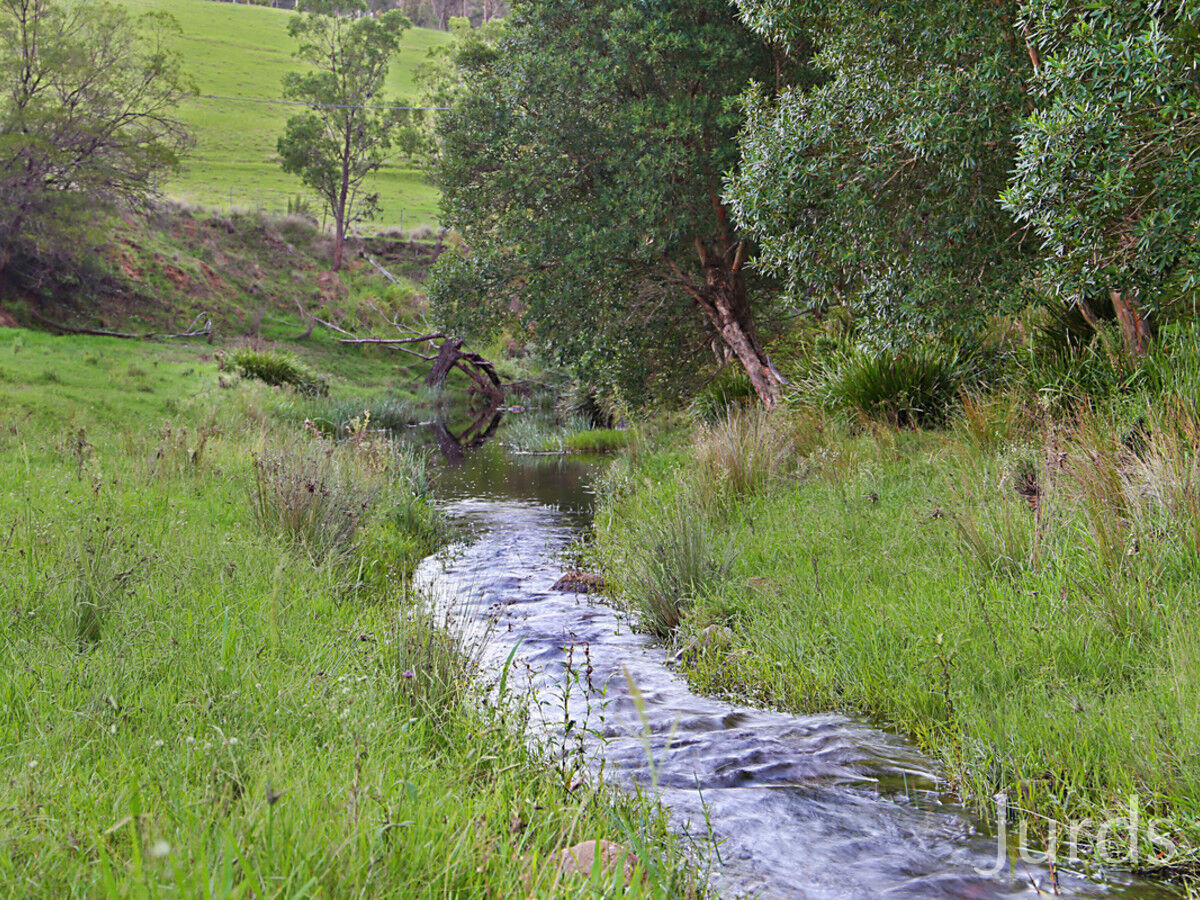 481 Sandy Creek Road, Mount Vincent, Mount Vincent - Thumbnail 5