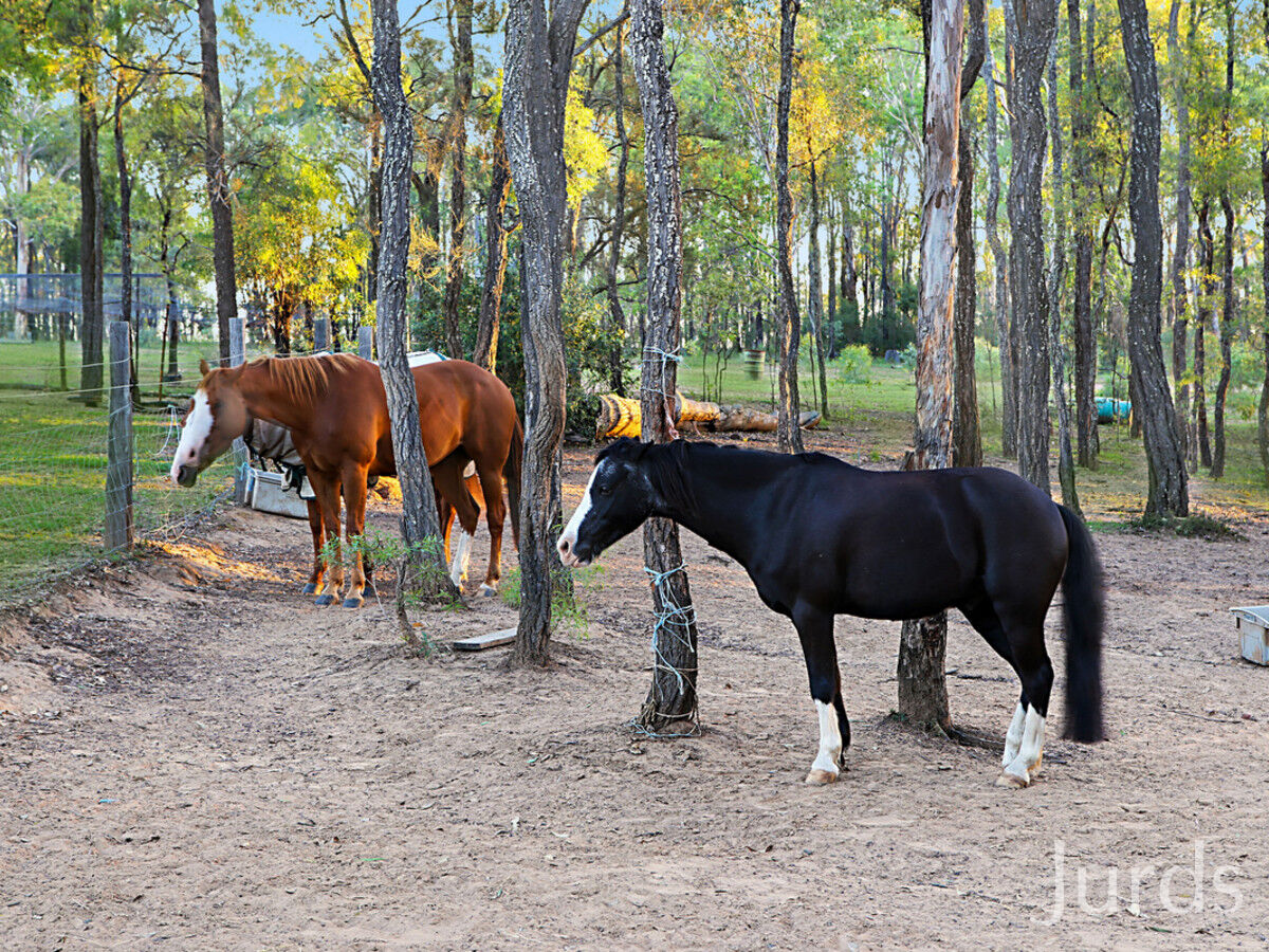 60 Blackburn Close, Lovedale, Lovedale - Thumbnail 2