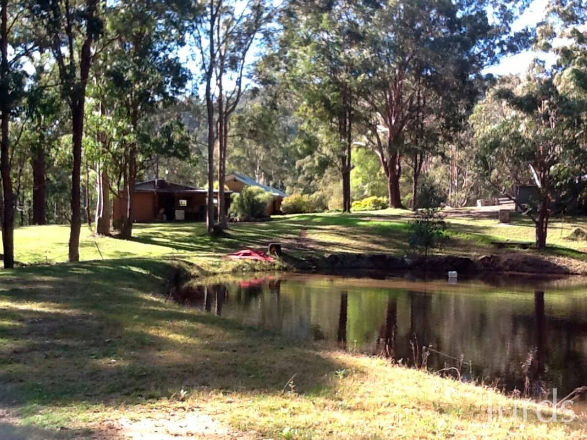403 Wallaby Gully Road, Ellalong, Ellalong - Thumbnail 3