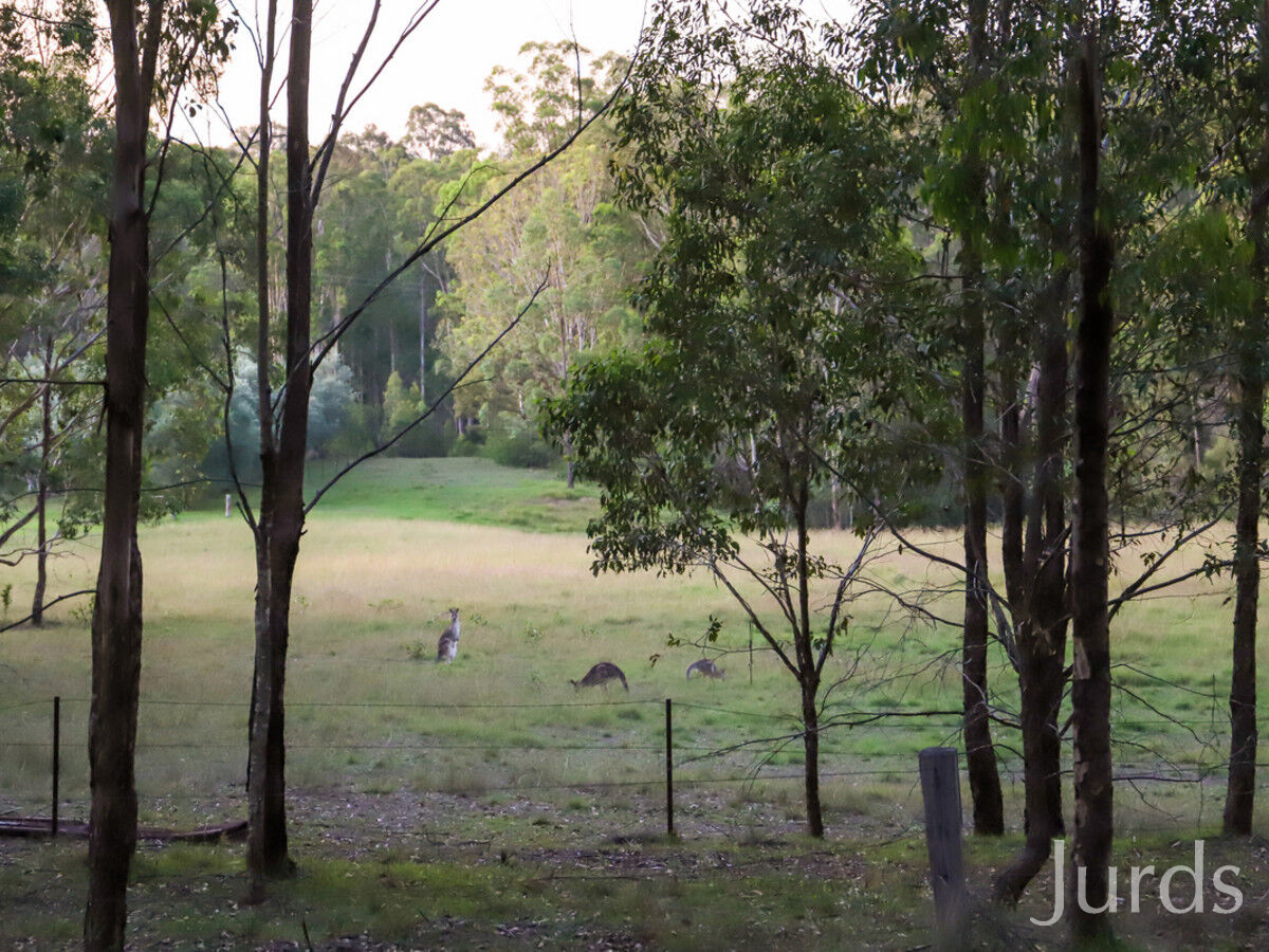 403 Wallaby Gully Road, Ellalong, Ellalong - Thumbnail 5