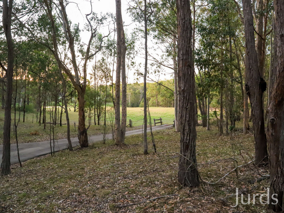 403A Wallaby Gully Road, Ellalong, Ellalong - Thumbnail 7