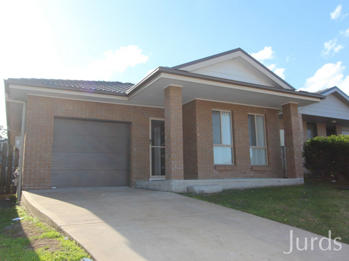 15A Arrowgrass Street, Aberglasslyn, Aberglasslyn - Thumbnail 3