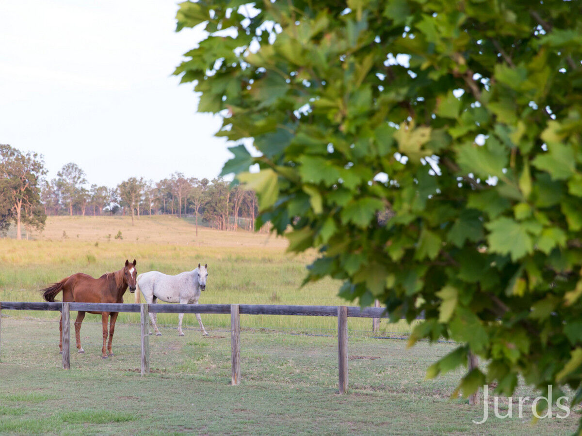 1368 Wine Country Drive, Rothbury, Rothbury - Thumbnail 8