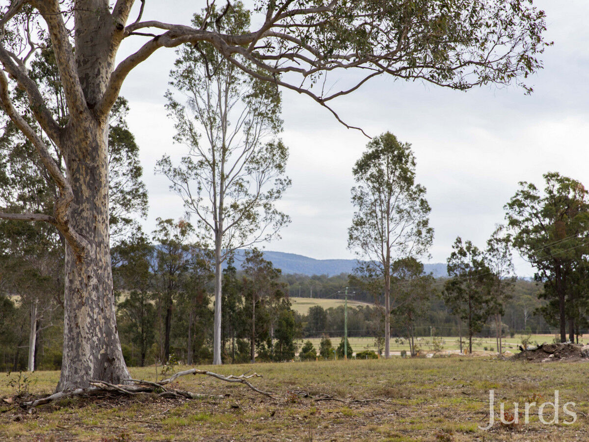 95 Wallaby Gully Road, Ellalong, Ellalong - Thumbnail 6