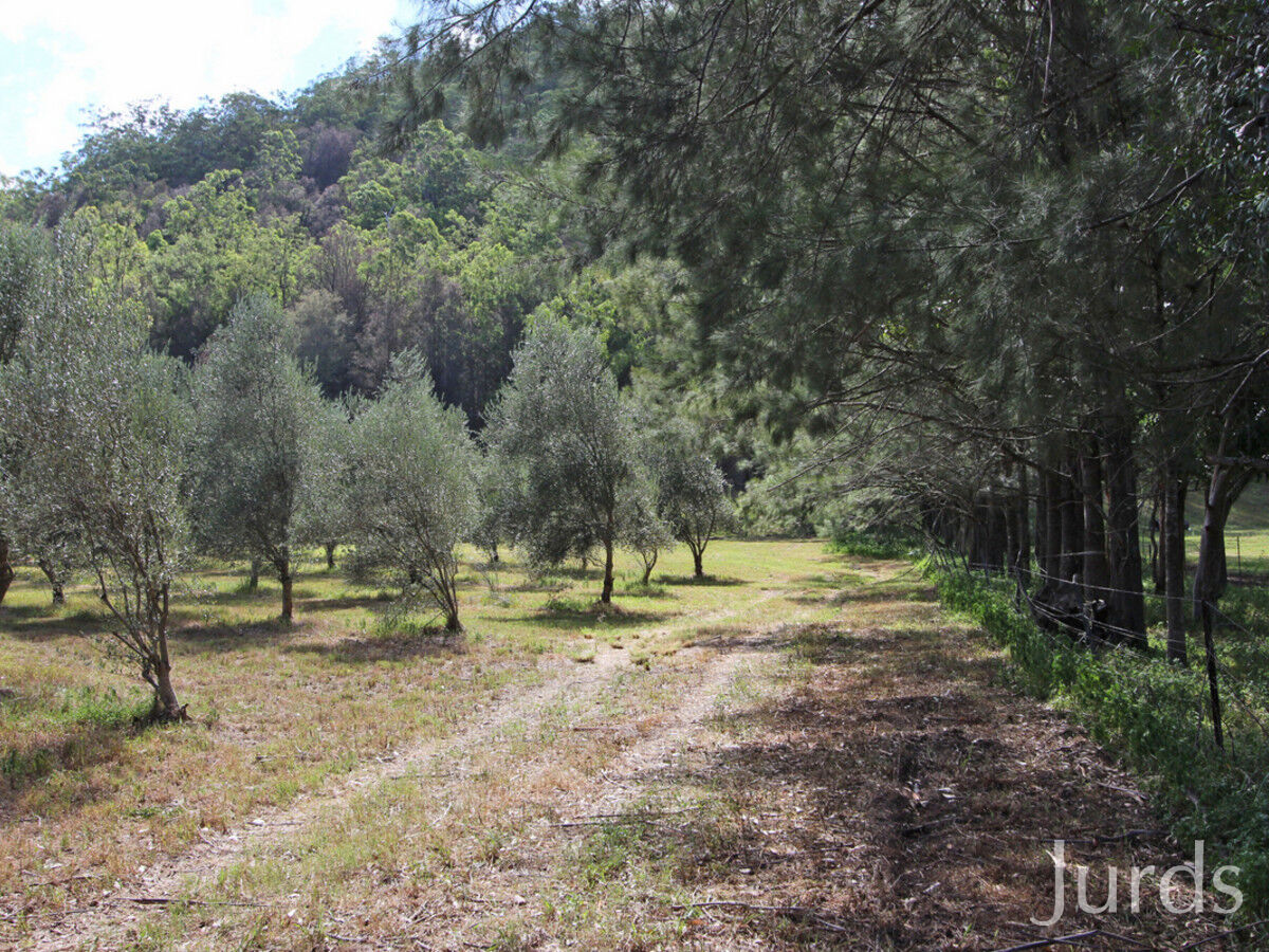 1855 Wollombi Road, Sweetmans Creek, Sweetmans Creek - Thumbnail 7