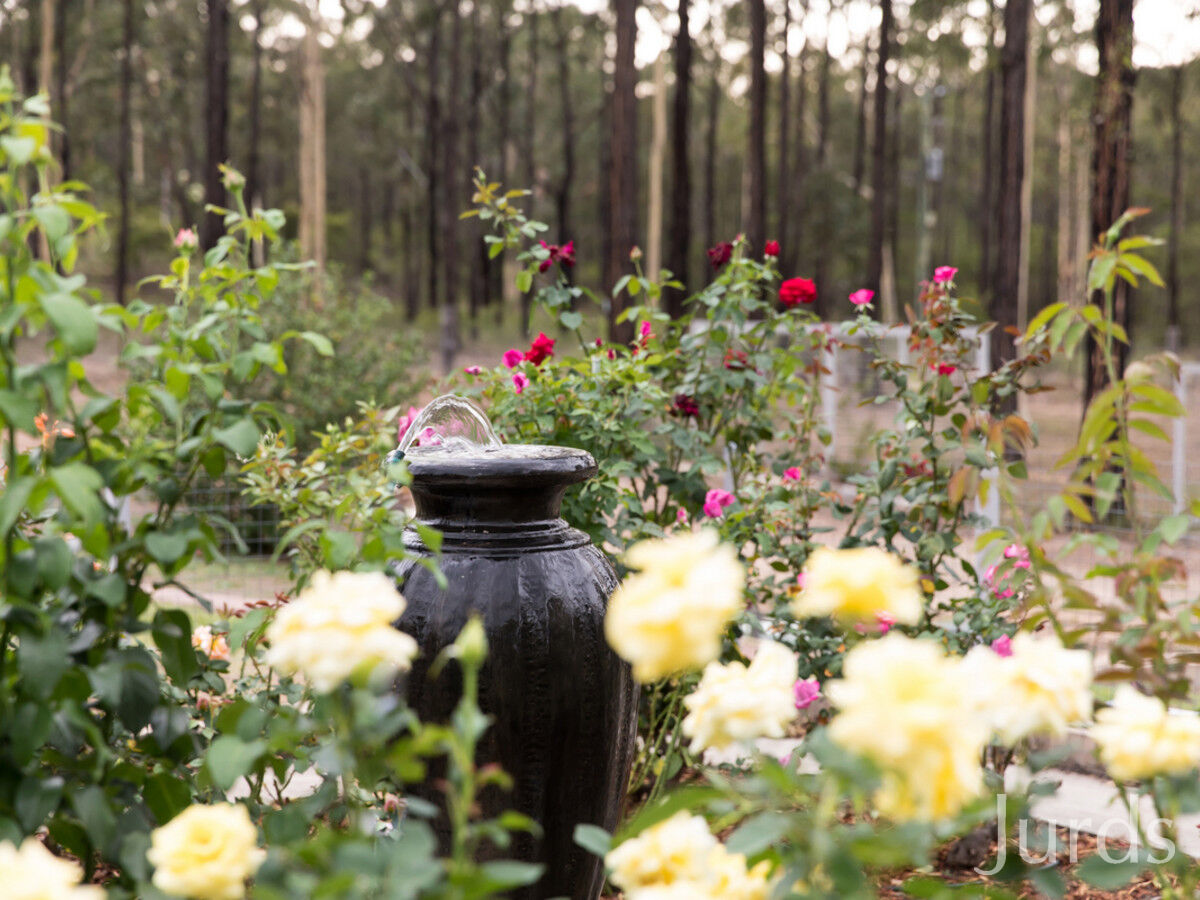 96 Ironbark Lane, NULKABA, Nulkaba - Thumbnail 4