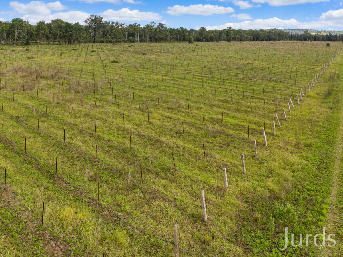 482 Wilderness Road, Lovedale, Lovedale - Thumbnail 4