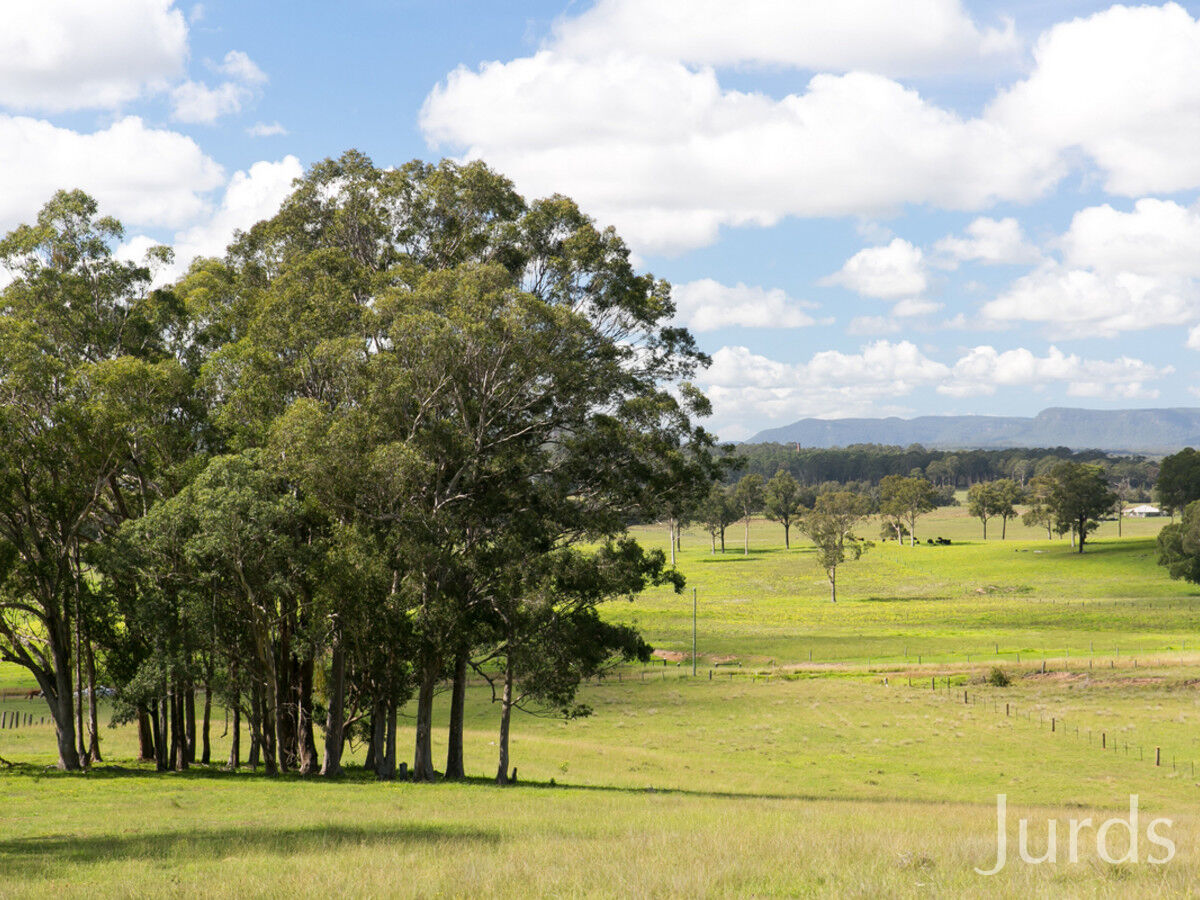 Proposed Lot 1 Hayes Road, Millfield, Millfield - Thumbnail 2