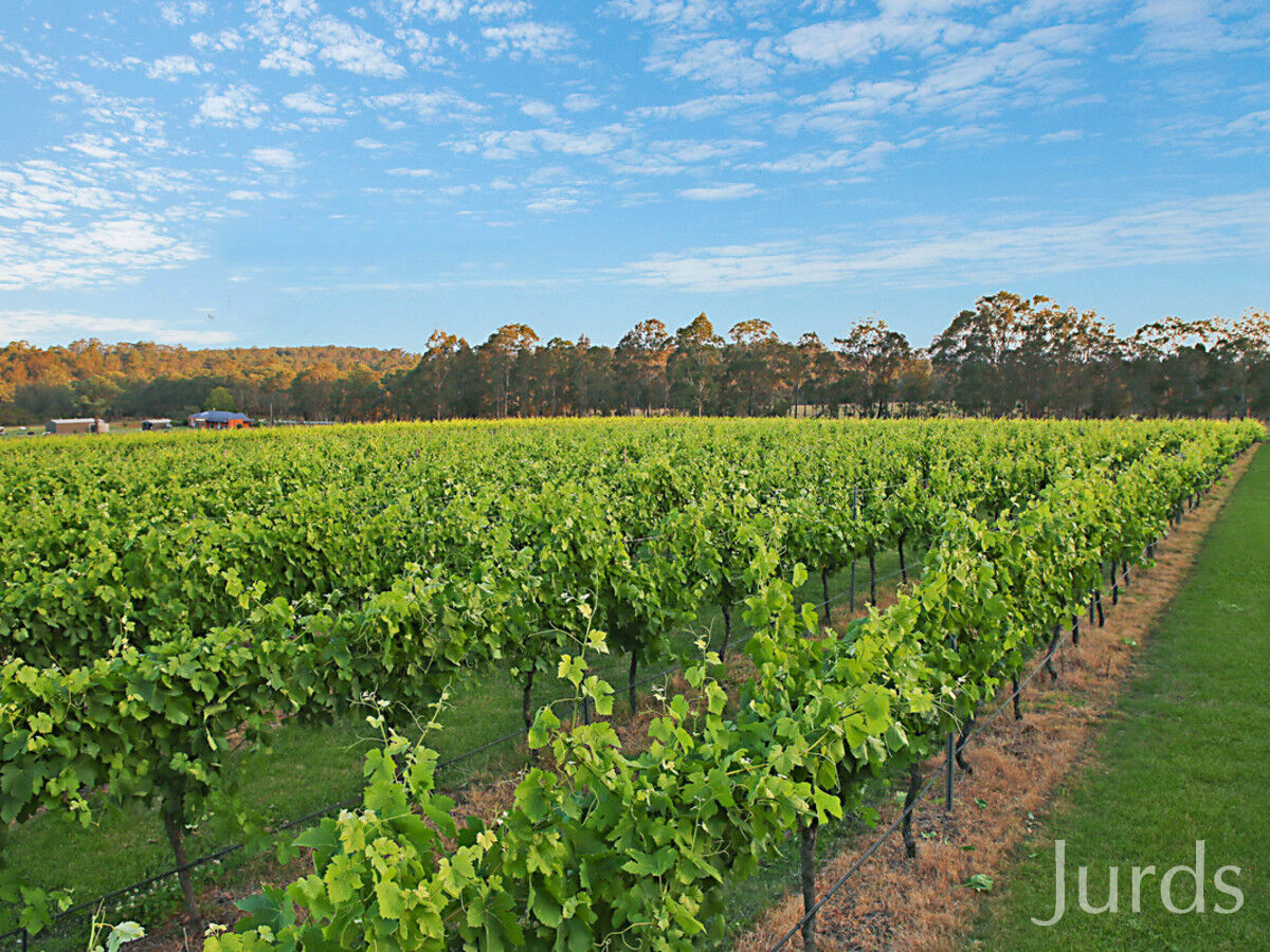 28 Racecourse Lane, Pokolbin, Pokolbin - Thumbnail 5
