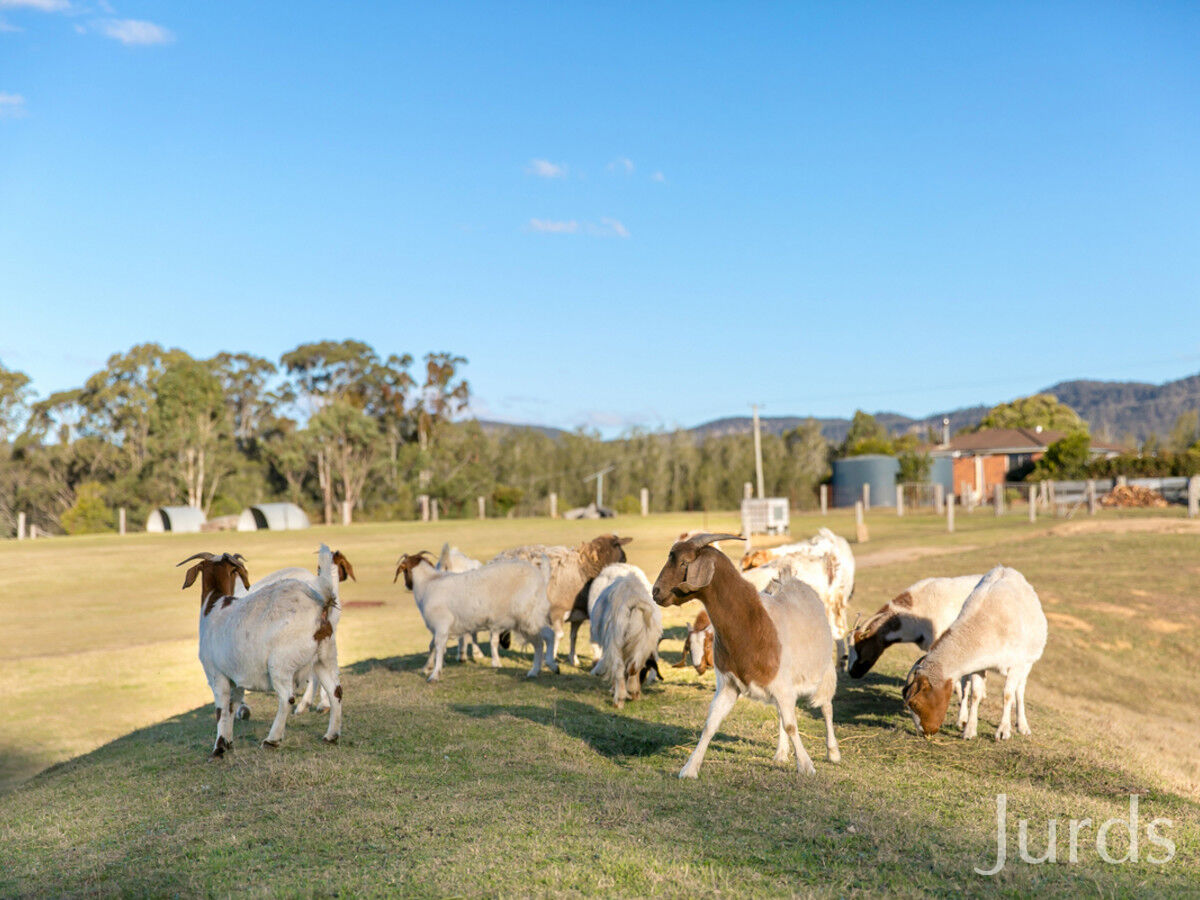 62 Q1 Private Access Road, Ellalong, Ellalong - Thumbnail 2