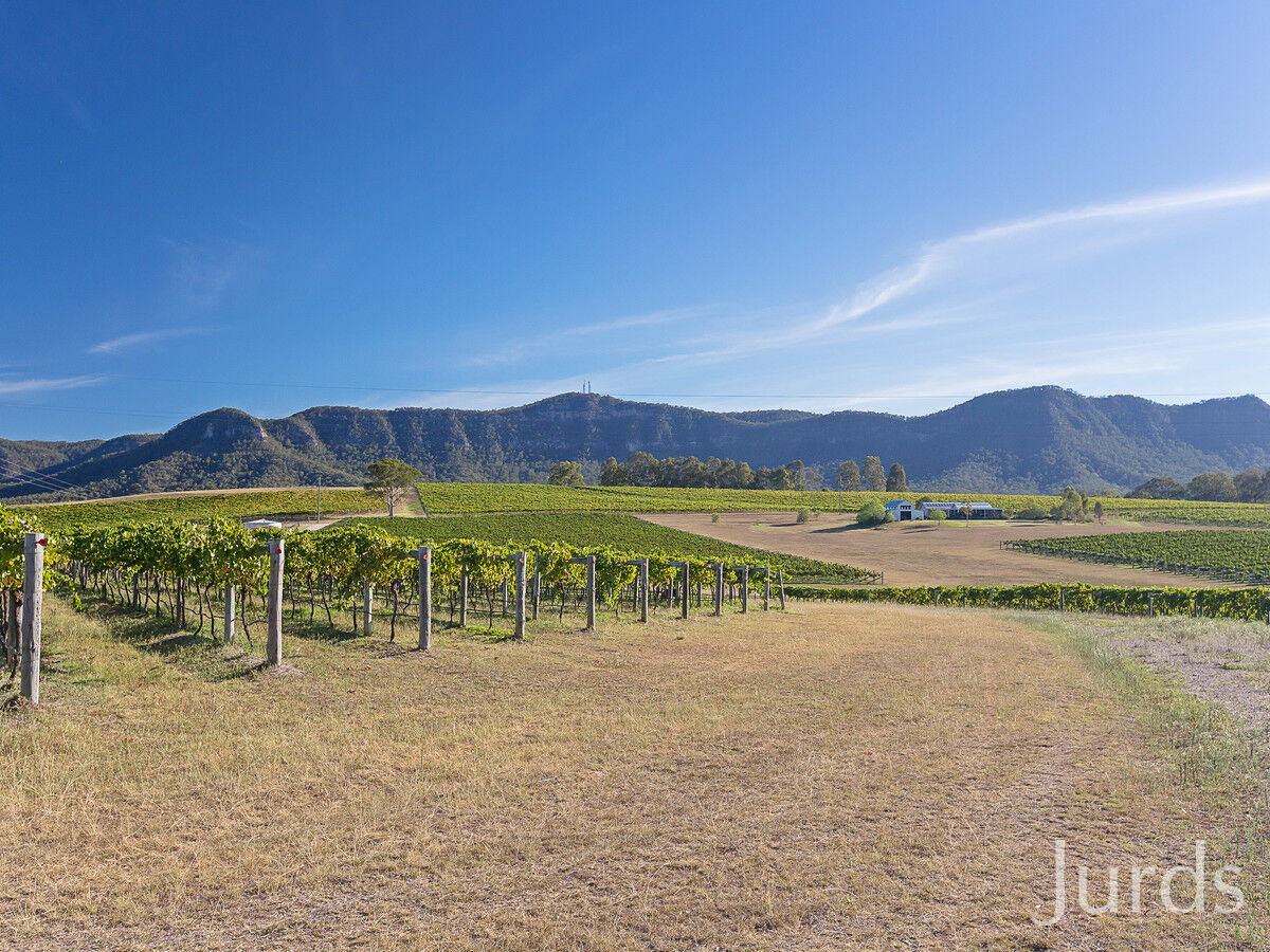 Lot 132 Mistletoe Lane, Pokolbin, Pokolbin - Thumbnail 4