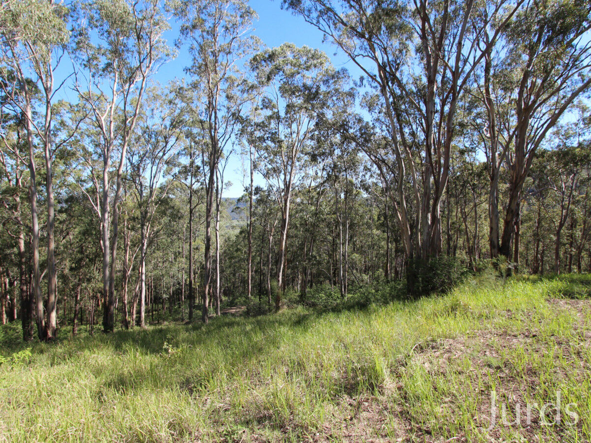 135 Mount Baker Road, Millfield, Millfield - Thumbnail 8